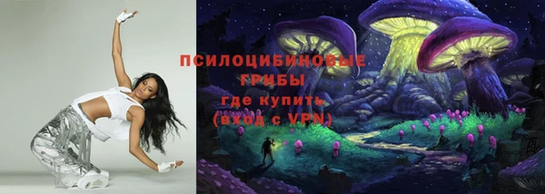 хмурый Покров