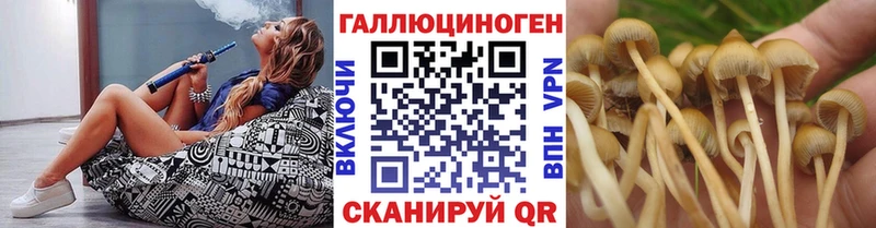 Галлюциногенные грибы MAGIC MUSHROOMS  Чапаевск 