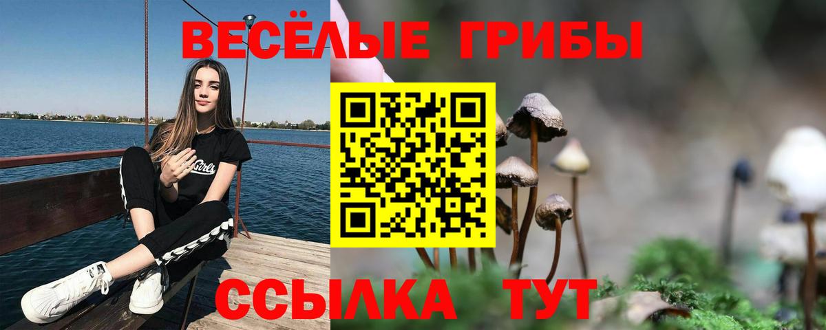 Псилоцибиновые грибы MAGIC MUSHROOMS  Галлюциногенные грибы Magic Shrooms  Вход с VPN  Чапаевск 